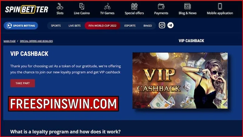 Spinbetter Casino'daki oyuncular için VIP Cashback ve sadakat programı resmedilmiştir.